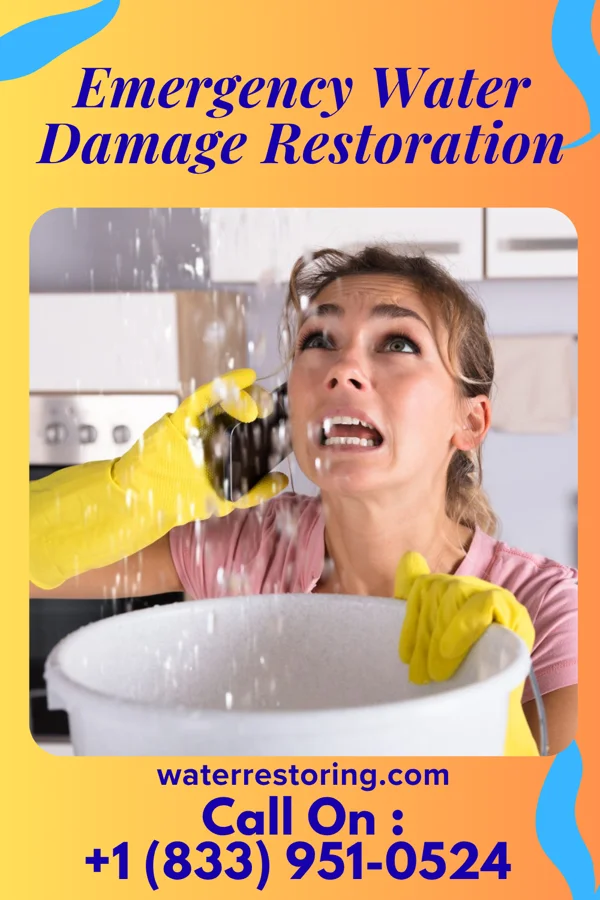 Emergency Water Damage Restoration in Knowlton, WI
