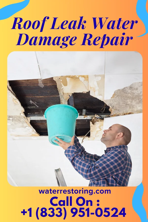 Roof Leak Water Damage Repair in Knowlton, WI