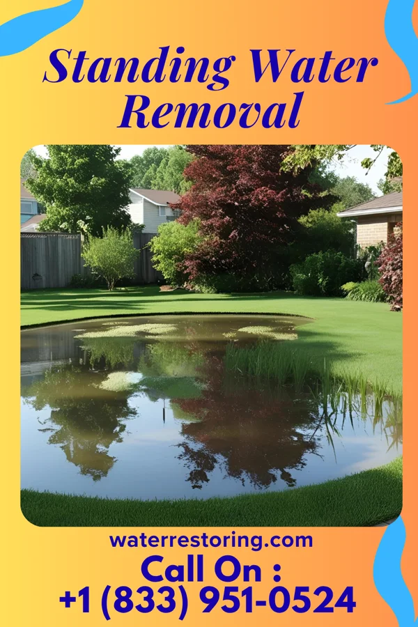 Standing Water Removal in Knowlton, WI
